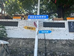 -龙坞茶村