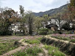 -塔川景区