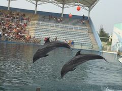 -北戴河圣蓝海洋公园