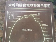 -大岭沟猕猴桃谷风景区