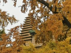 -北京石刻艺术博物馆(五塔寺)