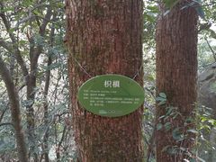 -东天目山风景区