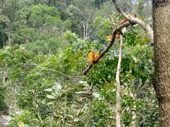 -海南热带雨林国家公园吊罗山景区