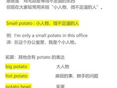 -I-Shine英语国际教育(大三林中心)