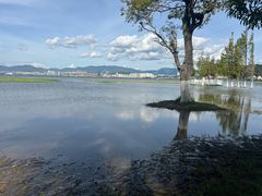 -洱海月湿地公园