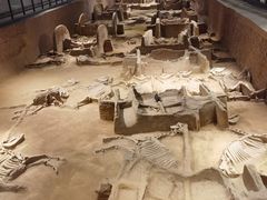 -洛阳周王城天子驾六博物馆