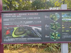 -王借岗森林公园