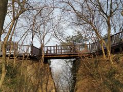 -南京市无想山景区
