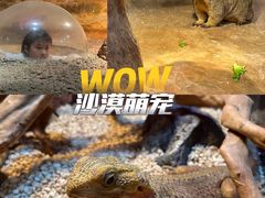 -正佳极地海洋世界