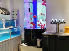水产区-金汤宴餐厅·粤菜(德云社店)