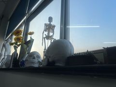 -盖画室·中高考艺考·三校生美术