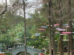 -人民公园(罗湖区)