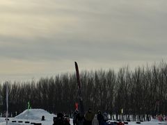 -丁香湖公园