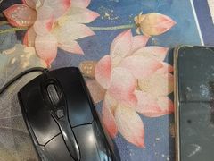 -楚鱼王·河鲜·湖北菜(华农店)