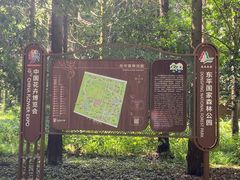 -东平国家森林公园