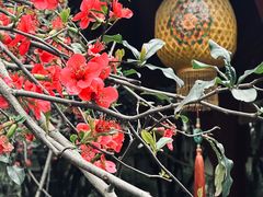 -望江楼公园