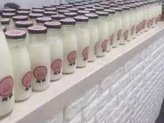 -ICEPOPO MILK(玉兰店)