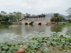 -飞来湖湿地公园