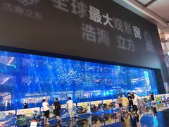 -成都浩海立方海洋公园