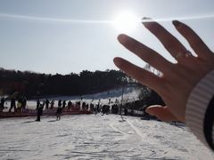 -东北亚滑雪场