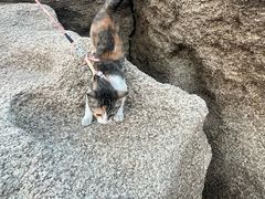-辽宁团山国家级海洋公园