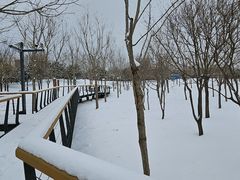 -东郊湿地公园