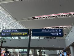 -合肥新桥国际机场-航站楼