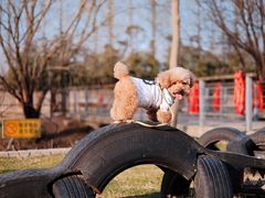 -前小桔亲子创意农场·草莓采摘·露营烧烤