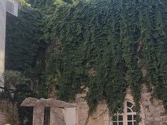 -布德瓦老城