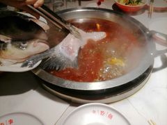 -蜀滋香鲜鱼美蛙火锅(339店)