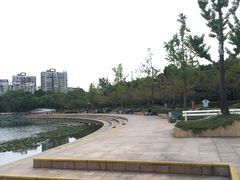 -新江湾城公园