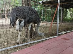 -厦门悦华酒店