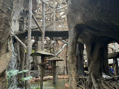 -长鹿旅游休博园