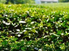 -敬亭山风景名胜区