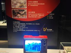 -盘龙城国家考古遗址公园