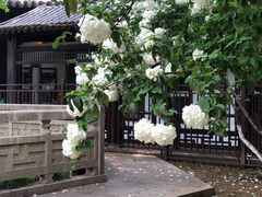 -常熟方塔园