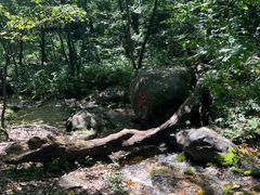 -玉渡山自然风景区