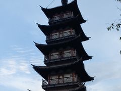 -普洱茶府(博乐广场店)