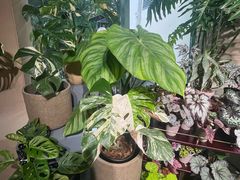 -棕榈岛海鲜自助餐厅(虹桥迎宾馆店)