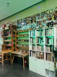 -袁亮今日陶艺(苹果社区总店)