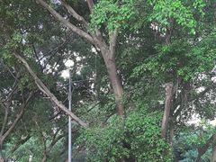 -蚝美人·生蚝海鲜烧烤(茶花园店)