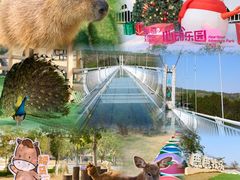 -盈香心动乐园