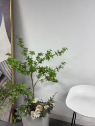 -AM半永久纹眉