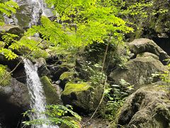 -藏龙百瀑风景区