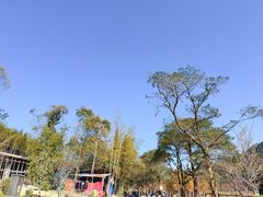 -广州市石门国家森林公园