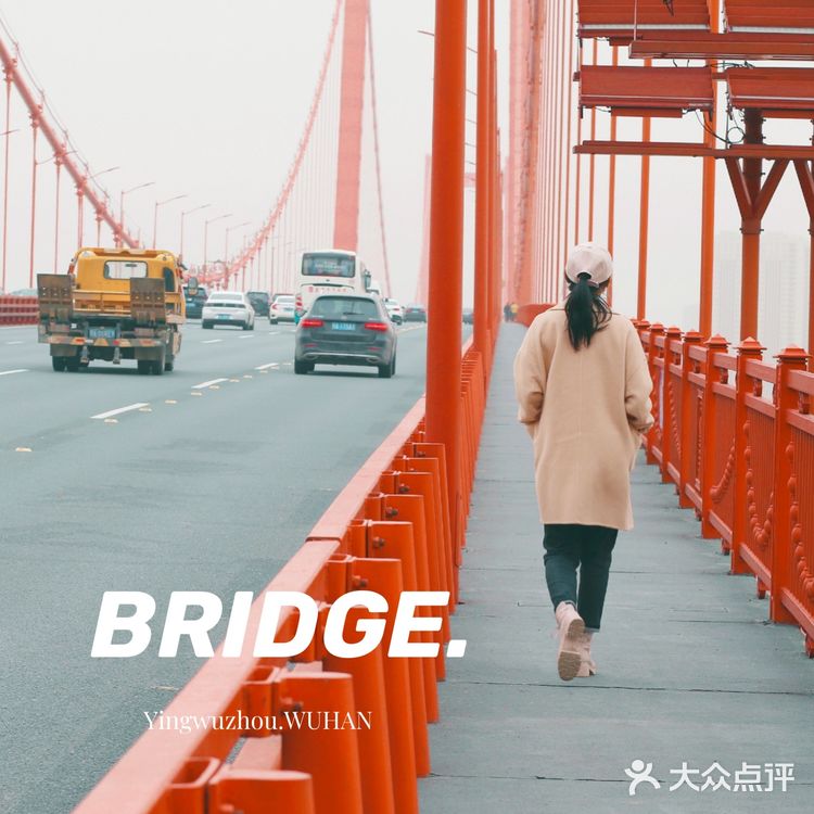 鹦鹉洲长江大桥