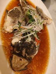 -郑州绿地JW万豪酒店·宴会厅