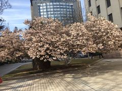 -青岛市图书馆