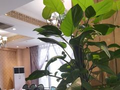-古南都·江苏酒家(建宁路店)