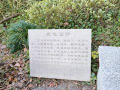 -昆山城市生态森林公园